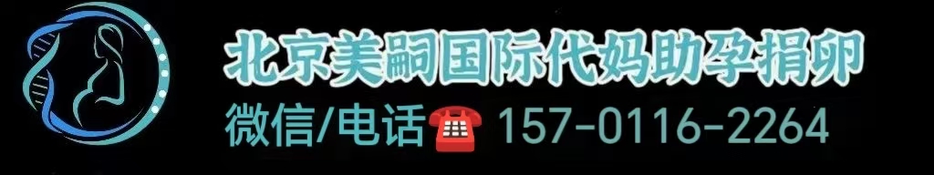 泉州捐卵